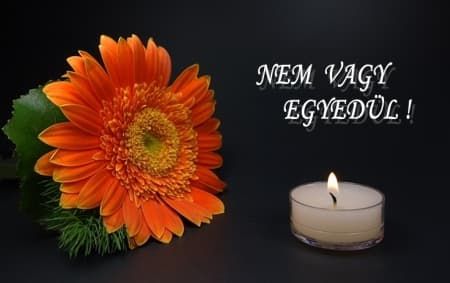 nemvagyegyedul.jpg